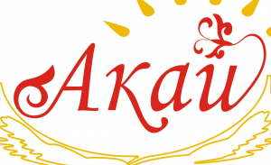 ИП Алдабергенова Г.С.