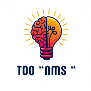 "НМС" жауапкершілігі шектеулі серіктестігі