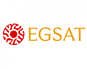 Товарищество с ограниченной ответственностью "EGSAT Consulting"