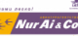 "Нур-Ай и Ко" жауапкершілігі шектеулі серіктестігі