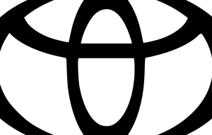 "Hazar Motors" жауапкершілігі шектеулі серіктестігі