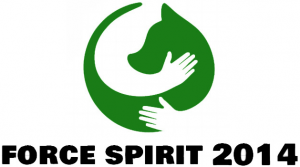 Товарищество с ограниченной ответственностью "Force Spirit 2014"