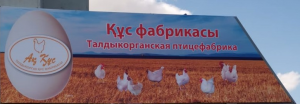 Товарищество с ограниченной ответственностью "Когер ЛТД"